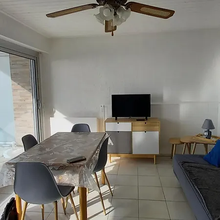 Moderne Face Mer, Balcon, Alcove Fermee, 2*, Animaux Admis, Saint-jean-de-monts. - Fr-1-323-429