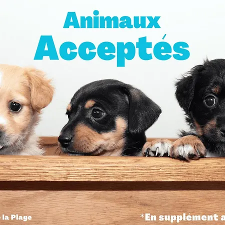 Moderne Face Mer, Balcon, Alcove Fermee, 2*, Animaux Admis, Saint-jean-de-monts. - Fr-1-323-429 Saint-Jean-de-Monts