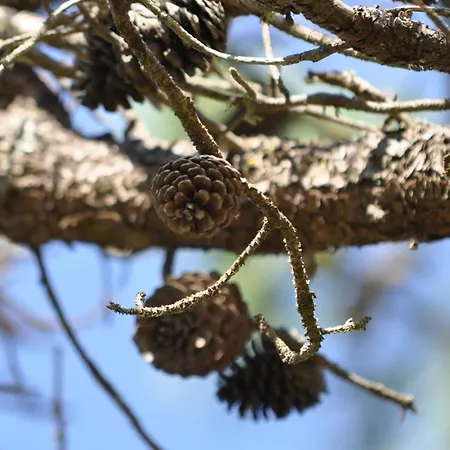 Apartmán Lumineux Avec Alcove, Balcon Face Mer, Parking Prive - Fr-1-323-429 Saint-Jean-de-Monts