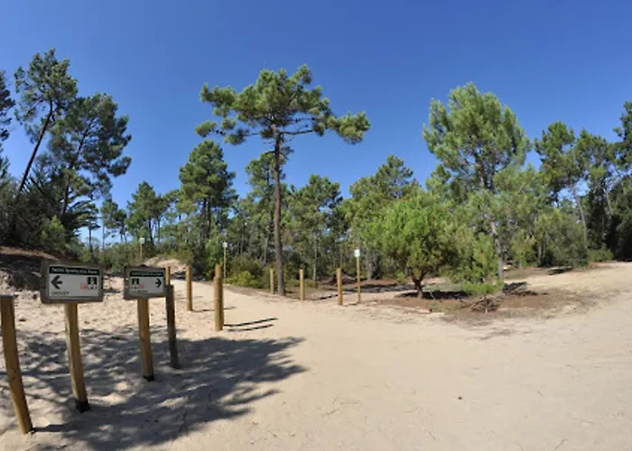 아파트 Lumineux Avec Alcove, Balcon Face Mer, Parking Prive - Fr-1-323-429 생장드몽