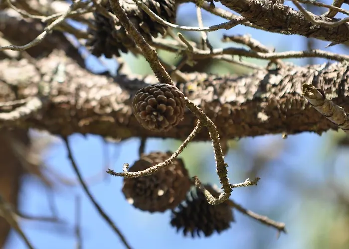 아파트 Lumineux Avec Alcove, Balcon Face Mer, Parking Prive - Fr-1-323-429 생장드몽